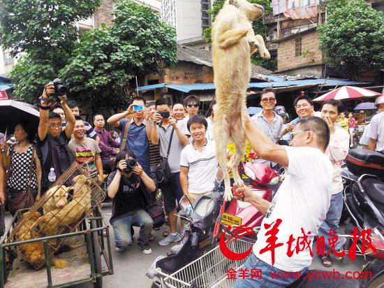 ����һ���ӡ�Ю��Ҫ�ۡ�