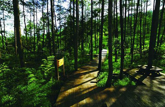 ͼΪ��������������ɽɭ�ֹ�԰