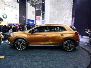 ��������ѩ���� DS 6WR 2014�� ������