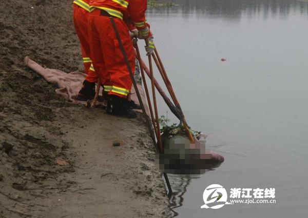 杭州河中现无名男尸 只着内裤身上长满水草(图)