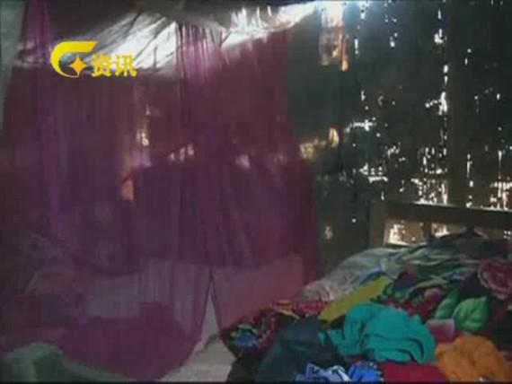 细说杨六斤事件真相 广西卫视声明指责说法不实