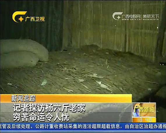 细说杨六斤事件真相 广西卫视声明指责说法不实