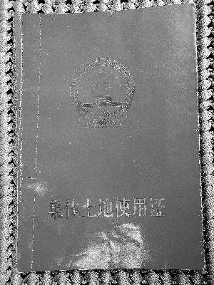 国土部门颁发的土地使用证.