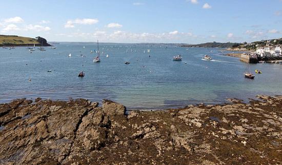 Ӣ����̲���־���Ͱˮĸ ֱ��1���ش�20����(ͼ)