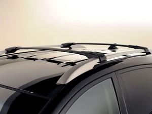 �ִ�(����) ;ʤ(����) 2010�� The Walking Dead