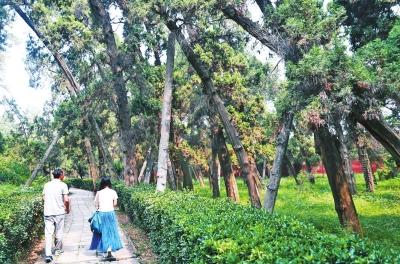 �Ͻ򺺹������԰1400����ǧ��Ű��������溦