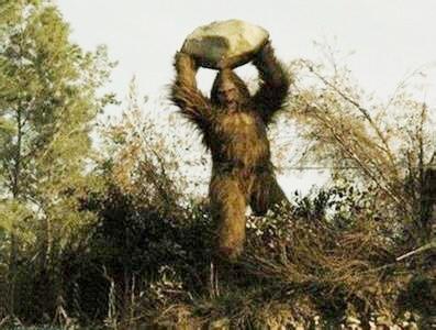 dna粉碎"大脚怪"传说(图)