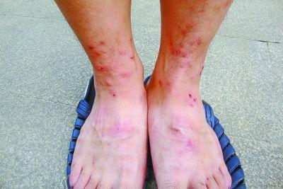 �人һ��¥������� 218��ҵ������ȫ��ҧ(ͼ)