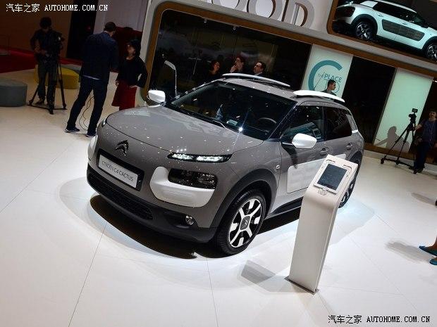 ѩ����(����) Cactus 2014�� ������