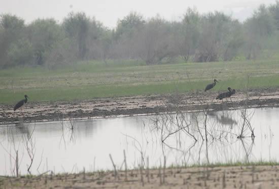 �ӱ���չʪ�ر����ж� ������ɫ�ӱ����ῼ������