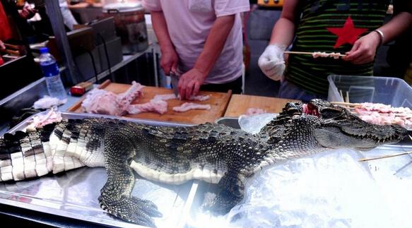 沈阳现"烤鳄鱼肉"摊位 20元一串烤现卖(图)
