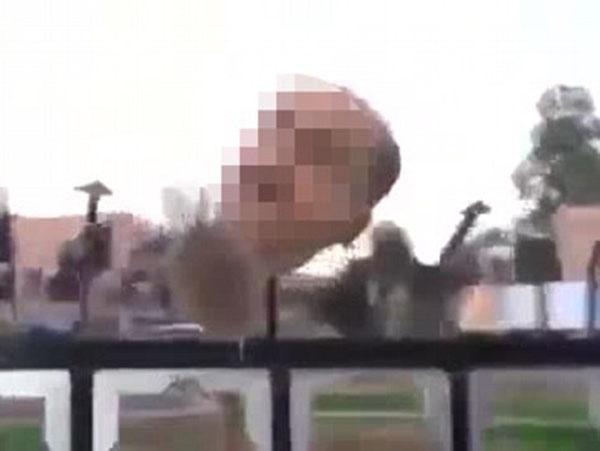 极端组织斩首叙政府军头颅被挂尖桩示众图2