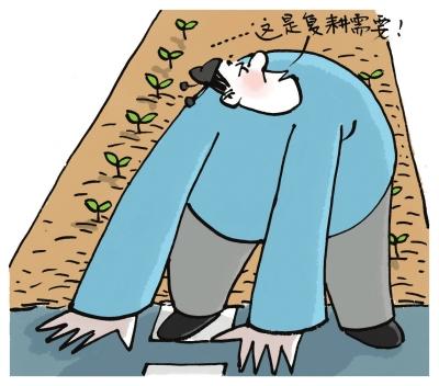 评论:"铺路种豆"戕害政府公信