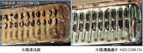 ���������ֲ� ����ˮ����ճ�����