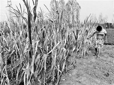 �ɺ��������׸ɿݡ�