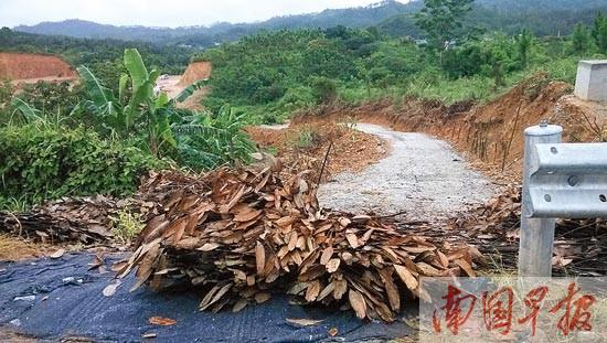 �ն�������������˽�衰����ͨ���� ����������Ǯ