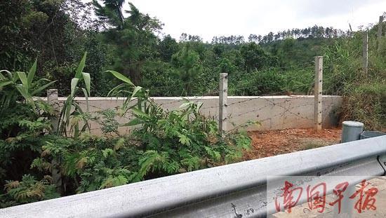 �ն�������������˽�衰����ͨ���� ����������Ǯ