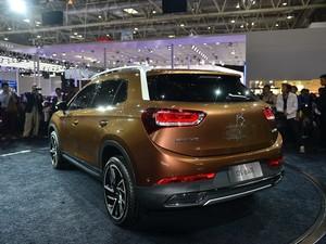 ��������ѩ���� DS 6WR 2014�� ������