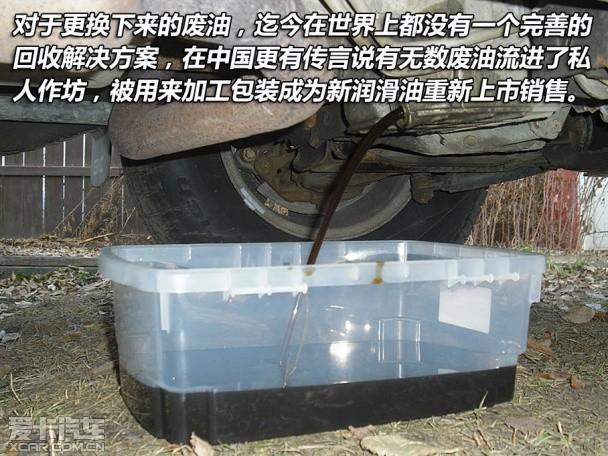 ���͸���