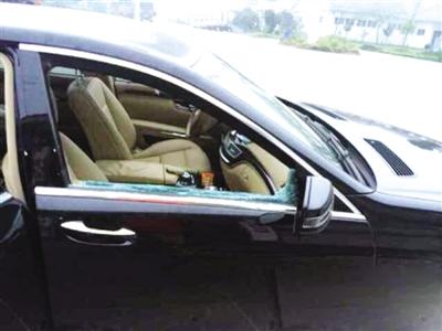 ���������ҵĳ�����ͼƬ���������磩