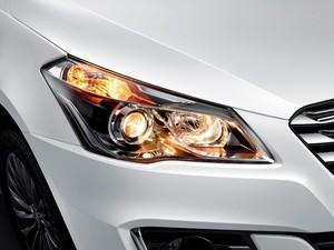 ������ľ ���� 2014�� ������