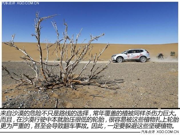 ɳĮ���鶫���ղ����濥