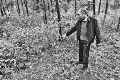 新密男童失踪五天后灌木丛中找到 身体划伤脱离危险