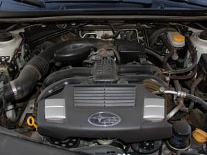 ˹��³XV�ֽ��Ż�1��Ԫ�� �����ֳ�����