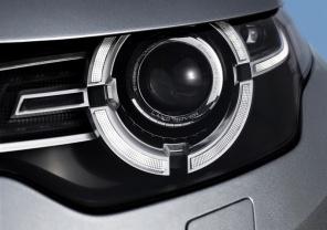 �����˶���