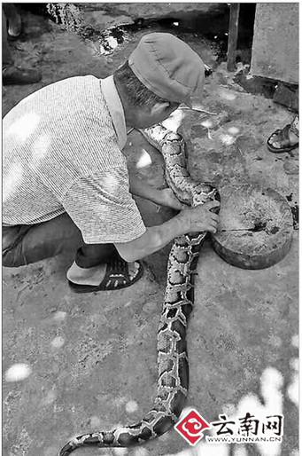 ��ͼ������ 