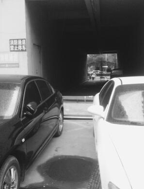 ʯ��ׯ��С����ͣ���������� �����齻��������