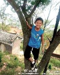 ���������к�ʧ������һҹ