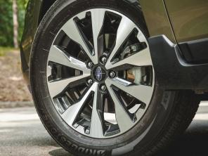 ˹��³2015�����