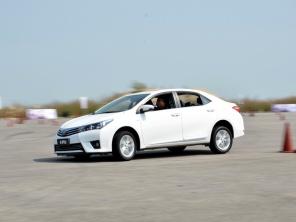 ȫ�¿�������������Լݻ�