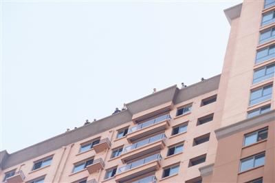 十余民工坐在三十三层楼顶边缘