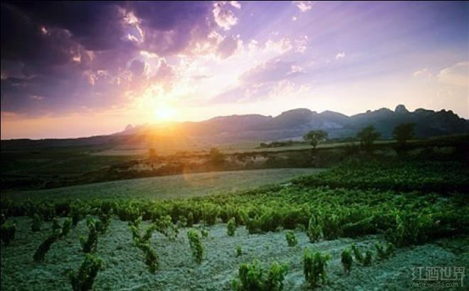 �����Ŷ���������͢������Щ����