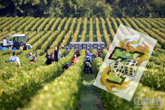 ��������ݣ��ꡰ7���ء�˥���и���