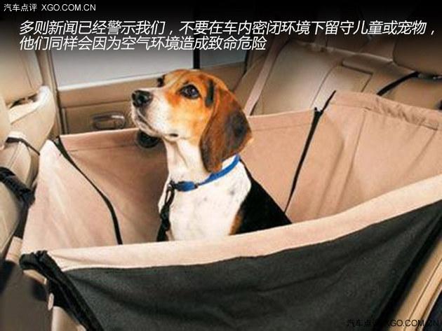 睡觉可能会致命 车内休息几大注意事项