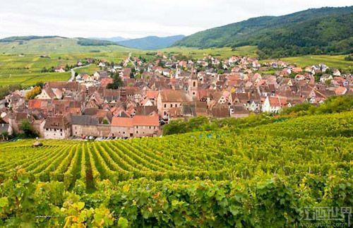 ������˹�ľ��飺�����԰�����˹�����ݾ�