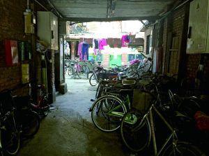 ���������ڷ��Ⱥ�⣺���·��ն�ҡ�����ù�