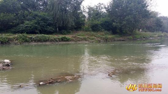 ����ĺӴ�Ϊ������ɫ�����ŷ���ˮ��һ�������Ա��