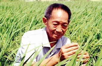 袁隆平冠名权及肖像权估值5151万 网友:也太少了