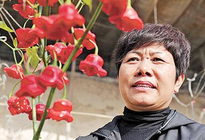 记优秀农业科技工作者王金燕:带着干 帮着富