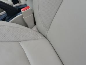 ������ľ2015������