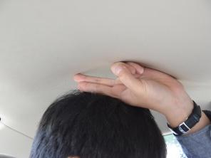 ������ľ2015������