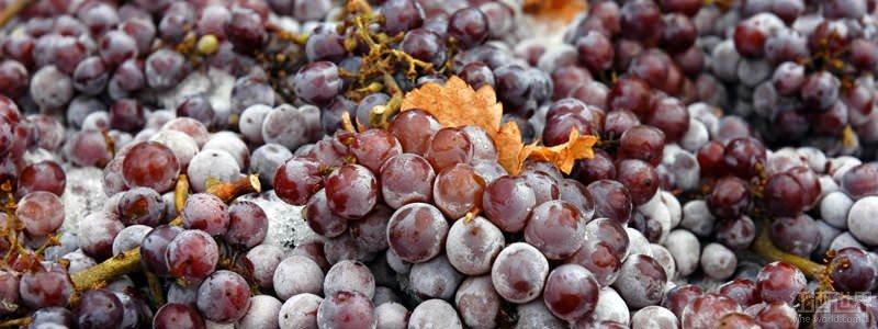 ���Ƶ�����ʲô��