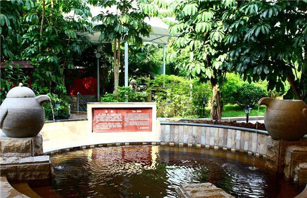 各种奇特的“食浴”护理 你值得一试