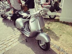 2014�ŵ���¹Ŷ���������