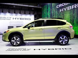 ����˹��³XV�ۺ��һ�0.8��Ԫ �����ֳ�