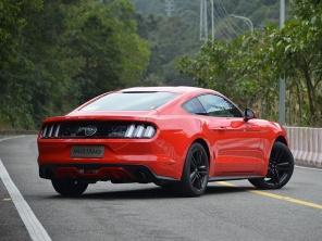 ����(����)2015��Ұ��